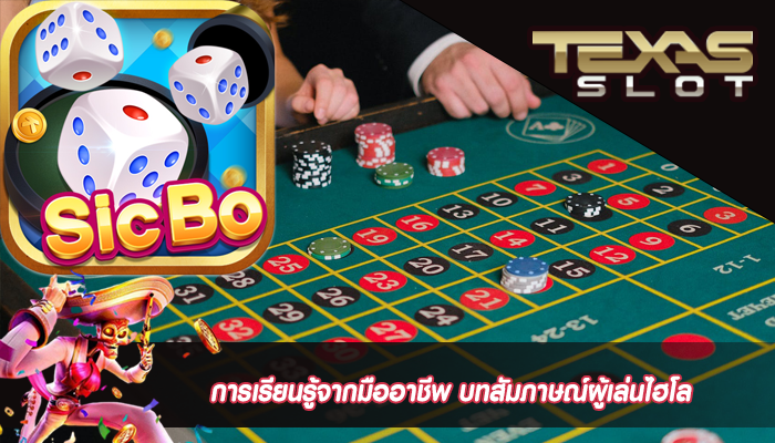 การเรียนรู้จากมืออาชีพ บทสัมภาษณ์ผู้เล่นไฮโล